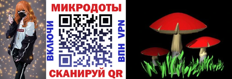 Псилоцибиновые грибы MAGIC MUSHROOMS  купить наркотик  Вяземский 